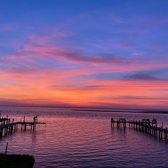 Meet your Posher, Ava - Picture 1 of 1